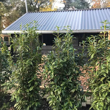 Сasa de vacaciones Veluwse Bos En Heide Otterlo