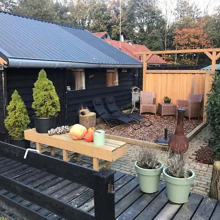 Veluwse Bos En Heide