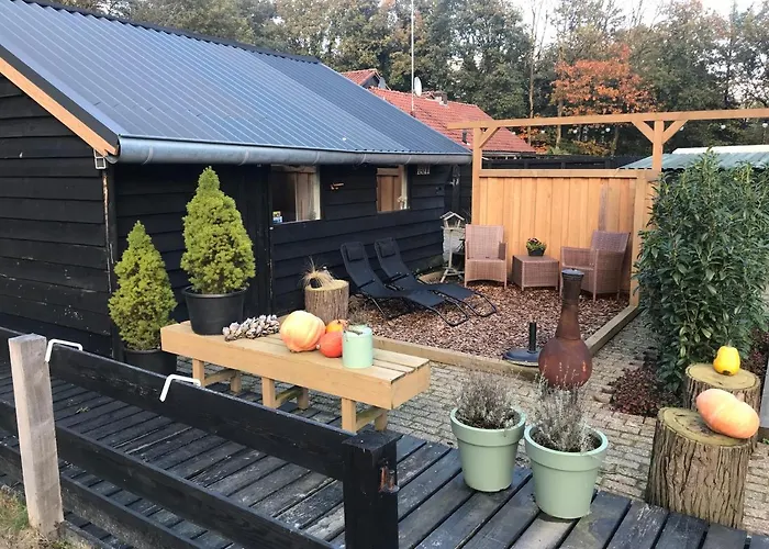 Veluwse Bos En Heide