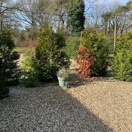 Veluwse Bos En Heide Casa vacanze