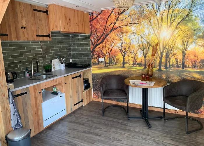 Veluwse Bos En Heide Otterlo