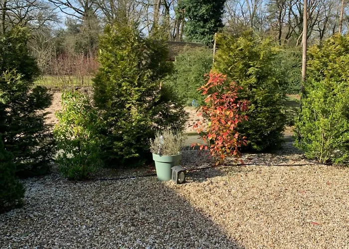 Veluwse Bos En Heide Casa vacanze